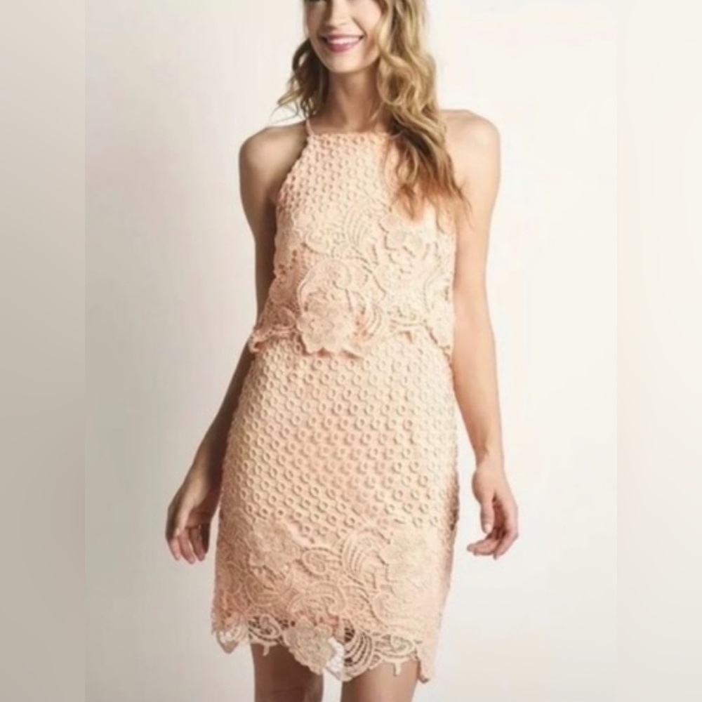 BB Dakota Peach Lace Midi Dress - Picture 1 of 5